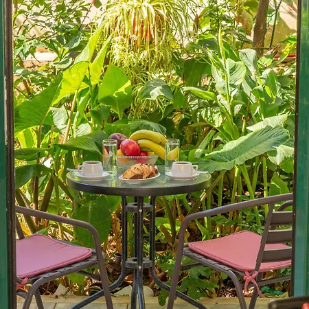 Penny's Appartement Agia Efimia